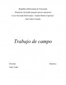 Trabajo de campo. Informe descriptivo