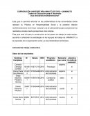 Guía de análisis multidimensional”