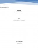 Encuesta embarazo en adolescentes