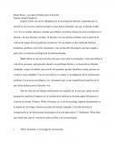Black Mirror - ensayo sobre sociología juridica