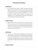 DISPENSADOR DE FRUTAS ORGÁNICAS