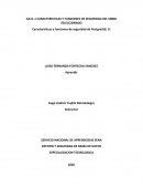 AA11-1 CARACTERISTICAS Y FUNCIONES DE SEGURIDAD DEL SMBD SELECCIONADO