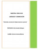 LIDERAZGO Y COMUNICACIÓN Entrevistas, reuniones de trabajo