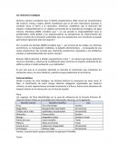 Las relaciones ecológicas