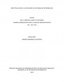 IDENTIFICACION DE LA NECESIDAD DE SISTEMAS DE INFORMACION