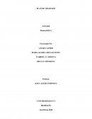 Plan de negocios. Actividad Matriz DOFA