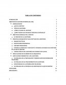 OBJETIVOS DEL AUDITOR EXTERNO