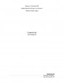 Composición Sobre El Covid-19