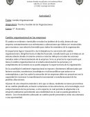 Cambio organizacional en las empresas