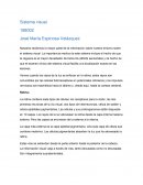 Sistema visual