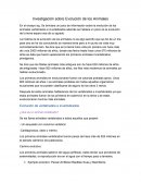 Investigación sobre Evolución de los Animales