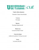 Análisis de la película ¨El día que me amen¨