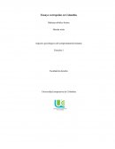 Ensayo corrupción en Colombia