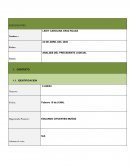 ANALISIS DEL PRECEDENTE JUDICIAL