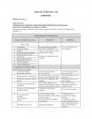 Teoria del Caso “Juan Plaza”