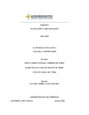 Cuestionaro planeacion y organizacion