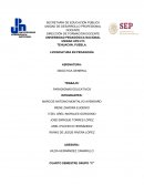 DIDÁCTICA GENERAL TRABAJO: PARADIGMAS EDUCATIVOS