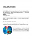 Concluiste la educación media superior?