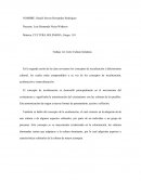 Trabajo 1er Corte Cultura Solidaria