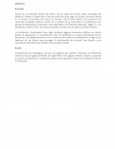 CASO PRÁCTICO STORCK S.A