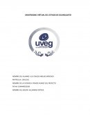 BEEF INTERNACIONAL S.A de C.V