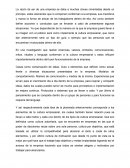 Elementos y tipos de cultura empresarial