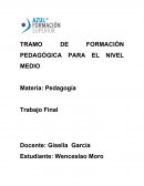 Del barrio a la escuela, resignificación de la currícula y el universo temático