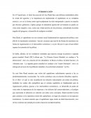 ENSAYO LIBRO CAPITALISMO: EL IDEAL DESCONOCIDO DE AYN RAND