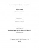 COMERCIO Y NEGOCIOS INTERNACIONALES (COMERCIO INTERNACIONAL)