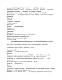 Virus, bacterias, parasitos y hongos. Página 1