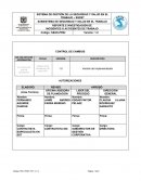 REPORTE E INVESTIGACIÓN DE INCIDENTES O ACCIDENTES DE TRABAJO