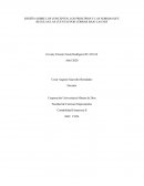 RESEÑA SOBRE LOS CONCEPTOS, LOS PRINCIPIOS Y LAS NORMAS QUE REGULAN LAS CUENTAS POR COBRAR BAJO LAS NIIF