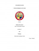 Ensayo Quimica Organica