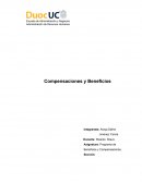 Programa de Beneficios y Compensaciones