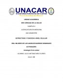 Antología Ciclo celular