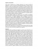 Programas y portafolio