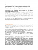 Fibra bruta