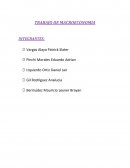 ¿Cuales son los rubros que no son considerados en el PBI para medir la actividad economica en el pais?