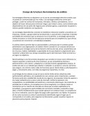 Ensayo de la lectura Herramientas de análisis