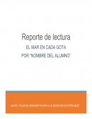 Procesador de textos. El Mar en Cada Gota