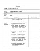 PROGRAMA DE AUDITORIA CLIENTE: comercializadora Genesys S.A.S