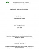 INVESTIGACIÓN CUANTITATIVA DE MERCADOS