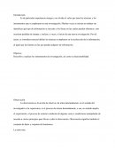 Ensayo de la importancia y funcionalidad de los instrumentos de investigación