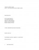 TEORIAS CURRICULARES