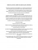 TUBOS DE LAVA EN EL CAMPO VOLCANICO XALAPA, VERACRUZ