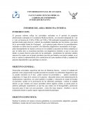 INFORME DEL AREA MEDICINA INTERNA
