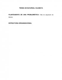 CONFORMACION DE RECURSOS HUMANOS. Página 1