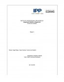 Control de Gestión. Práctica Laboral