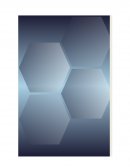 DESARROLLO DE LA CALIDAD EN UNA EMPRESA