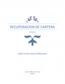 RECUPERACION DE CARTERA PROCESOS